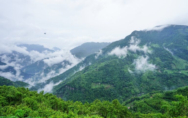 復興鄉